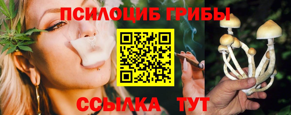 Псилоцибиновые грибы Cubensis  Вход с VPN  Шахты 